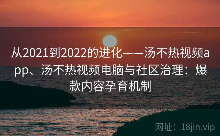 从2021到2022的进化——汤不热视频app、汤不热视频电脑与社区治理：爆款内容孕育机制