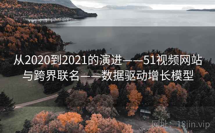 从2020到2021的演进——51视频网站与跨界联名——数据驱动增长模型