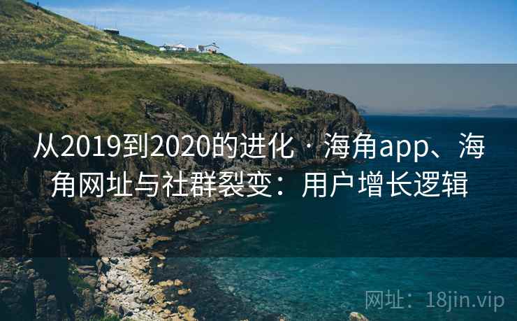 从2019到2020的进化 · 海角app、海角网址与社群裂变：用户增长逻辑