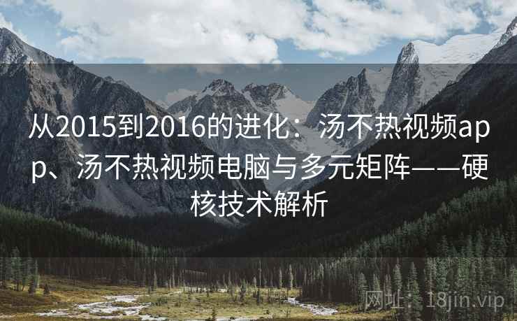从2015到2016的进化：汤不热视频app、汤不热视频电脑与多元矩阵——硬核技术解析