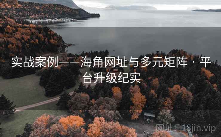 实战案例——海角网址与多元矩阵 · 平台升级纪实