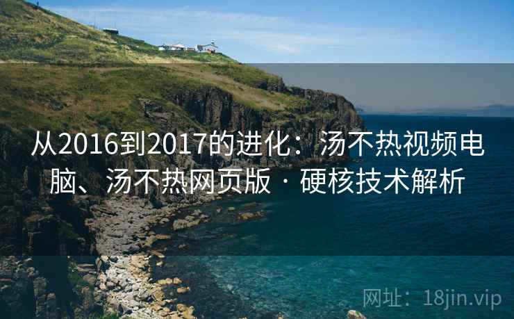 从2016到2017的进化：汤不热视频电脑、汤不热网页版 · 硬核技术解析